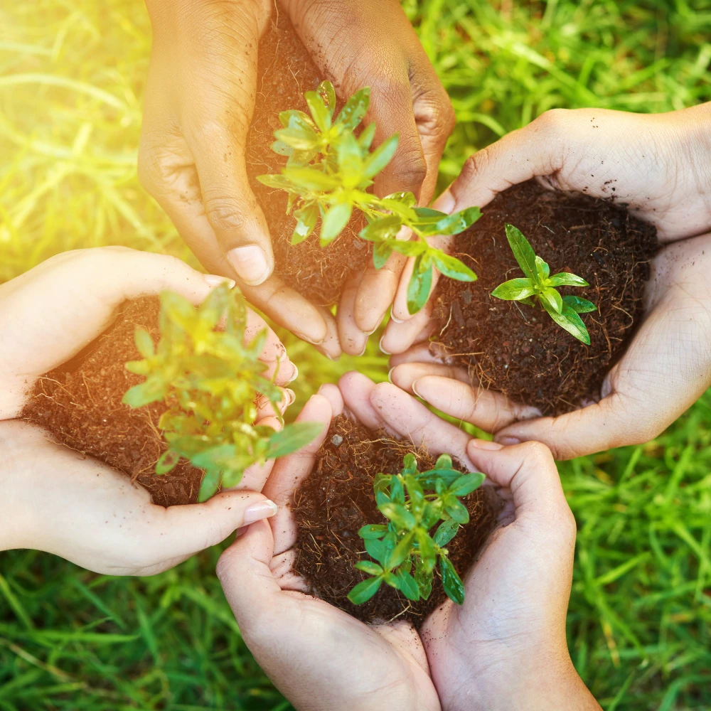 Greener Future